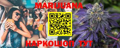 крисы Лесосибирск