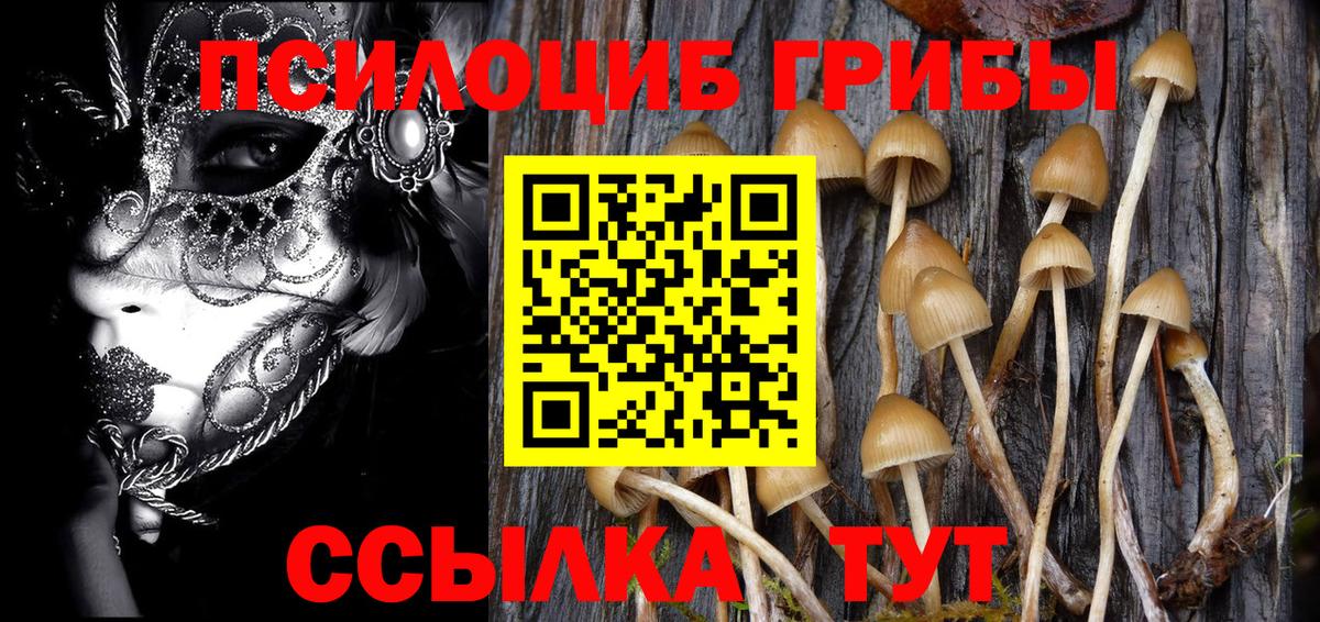 Галлюциногенные грибы Cubensis Зеленогорск