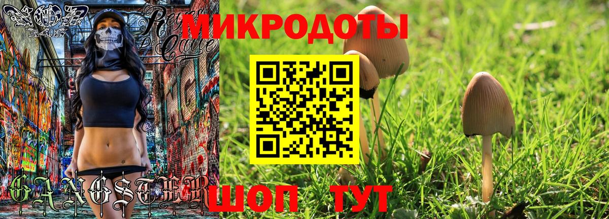 Псилоцибиновые грибы Cubensis  Вход с VPN  Зеленогорск 