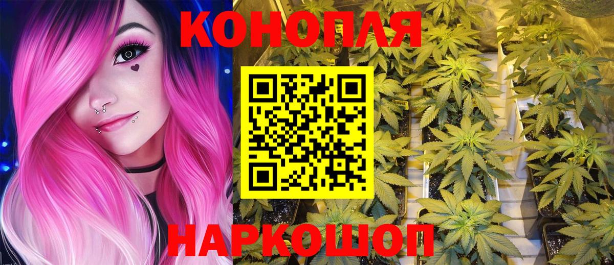 Канабис семена Зеленогорск